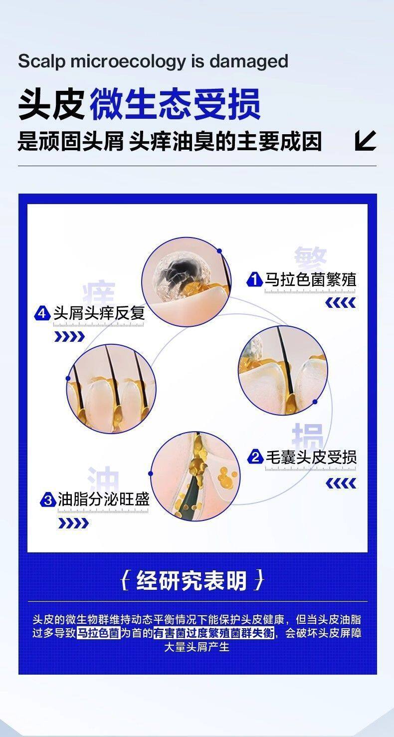 缩略图 4