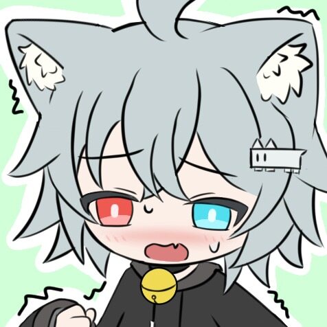 灰牌猫猫OwO