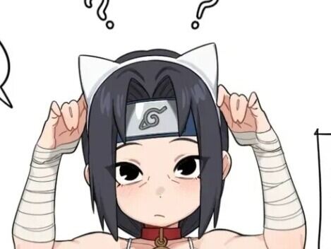 本子