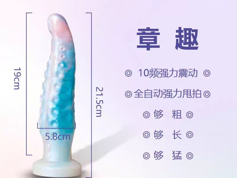 绮趣章趣